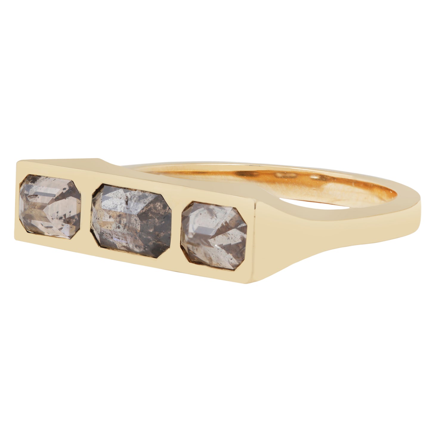 Flat Dunes Guardian Bar Ring