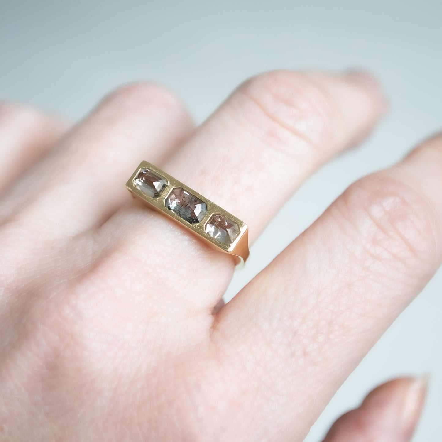 Flat Dunes Guardian Bar Ring