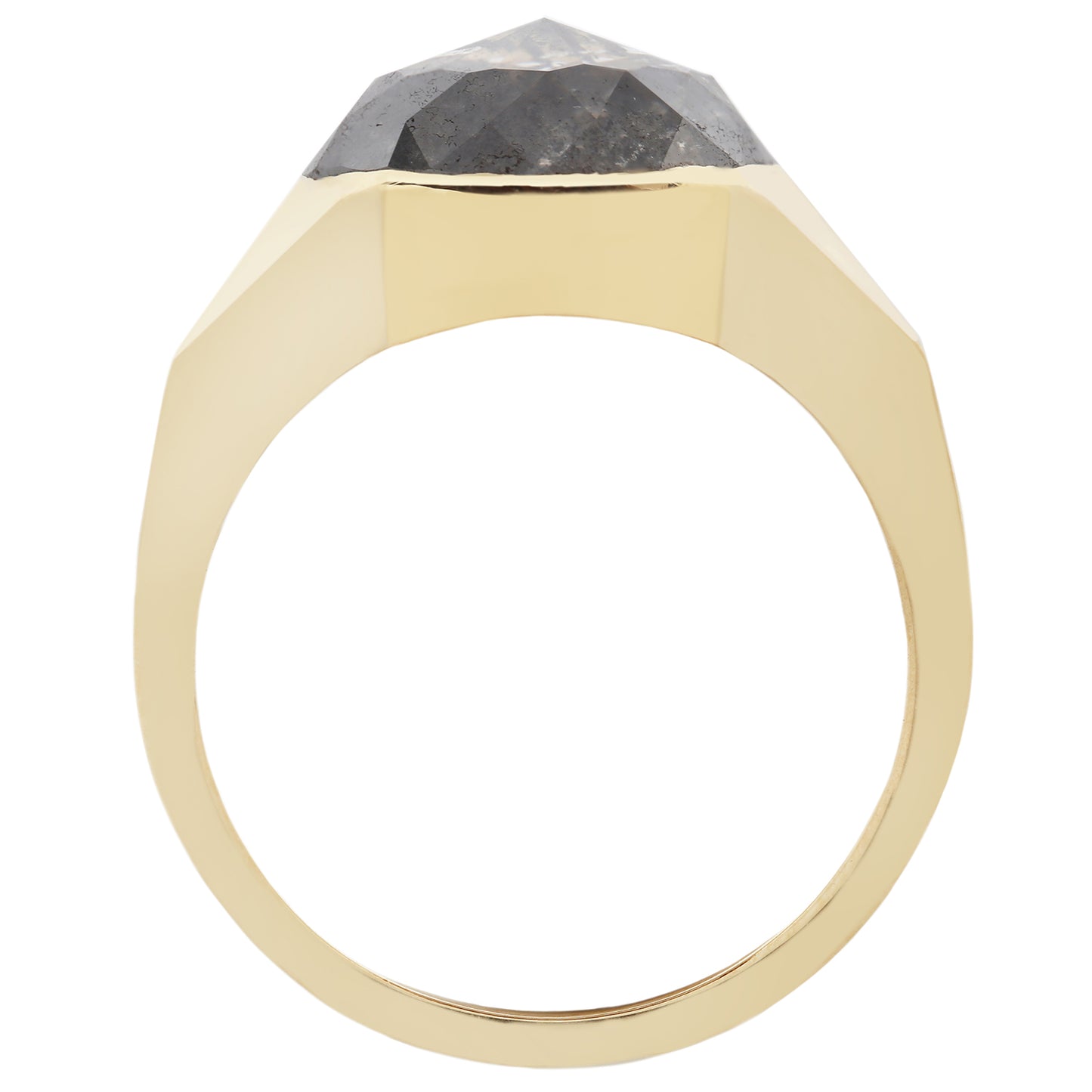 Speckled Diamond Oval Signet Ring