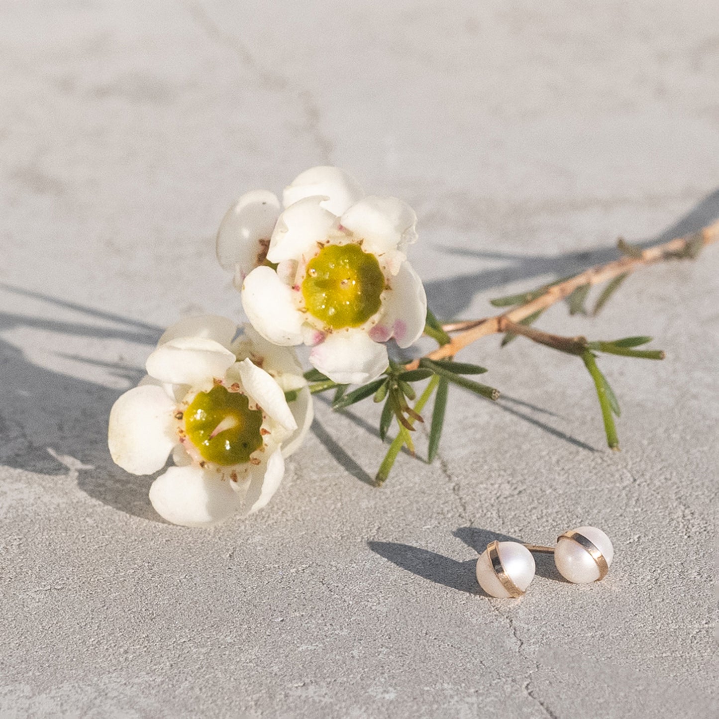 Bezel Wrapped Pearl Studs