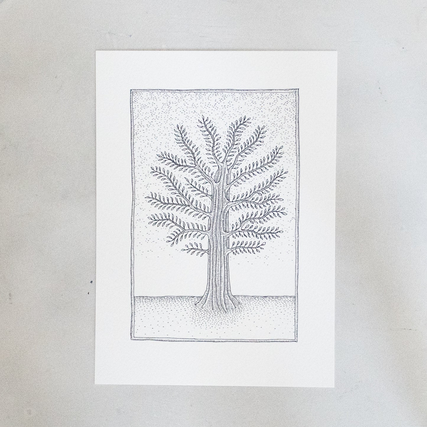 Cotton Wood Print