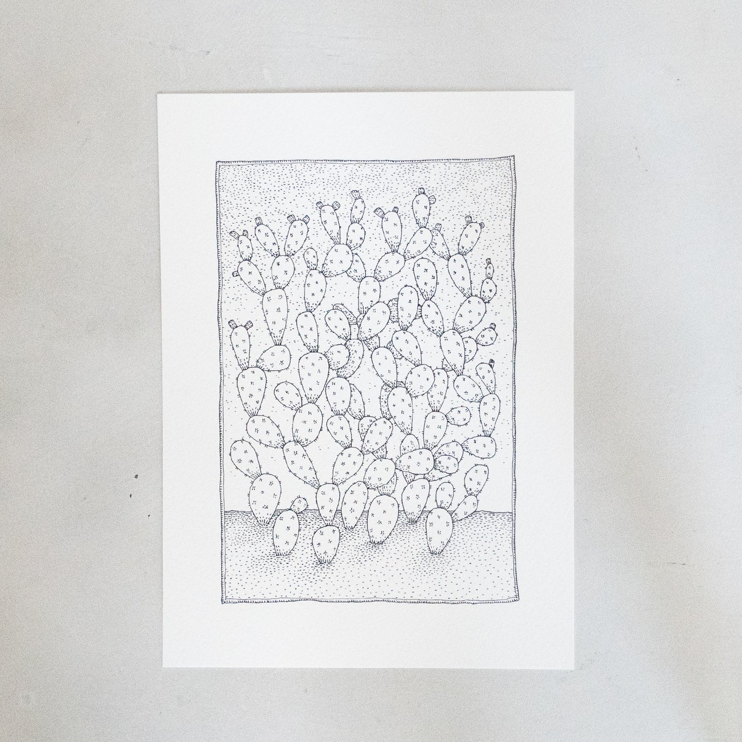 Prickly Pear Print