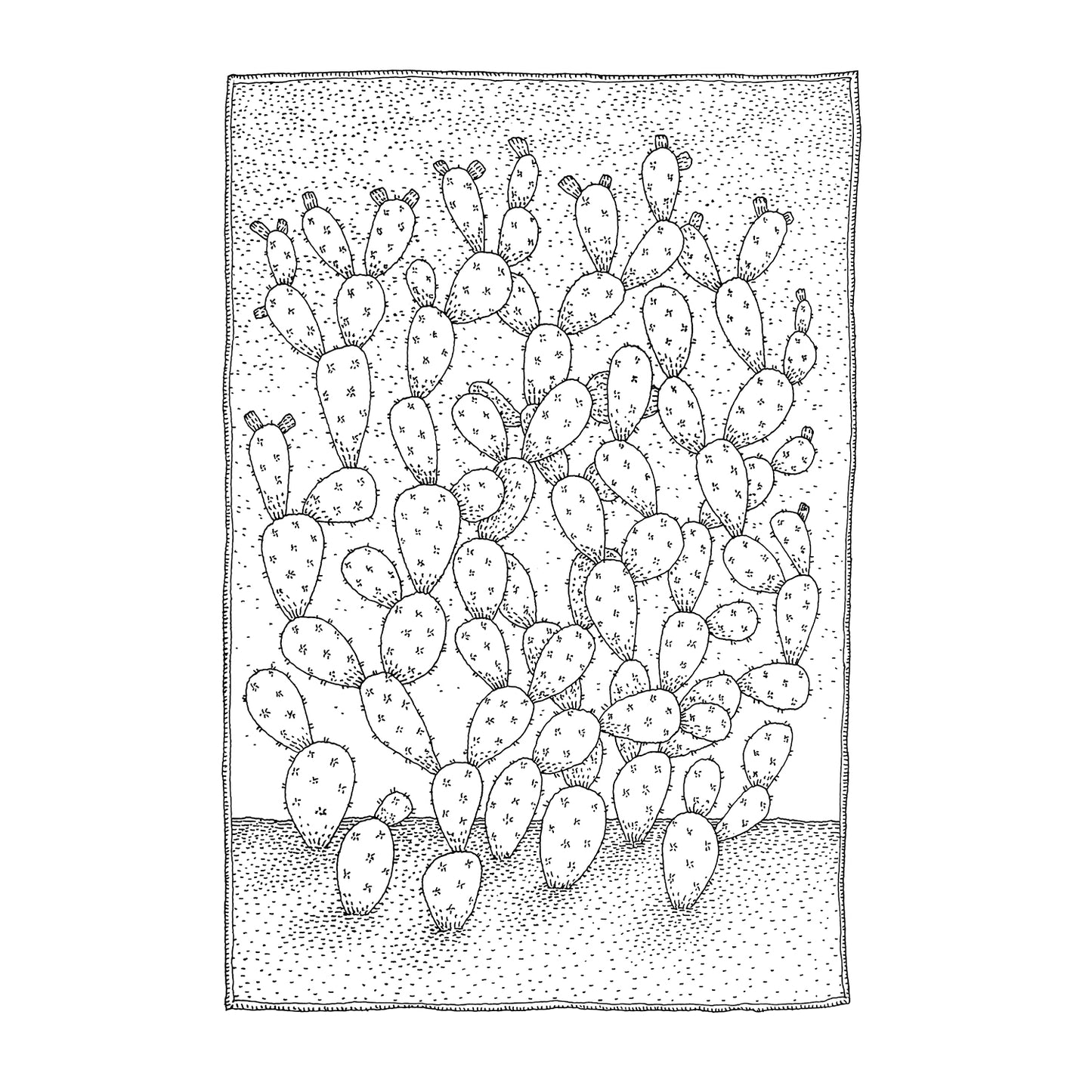 Prickly Pear Print