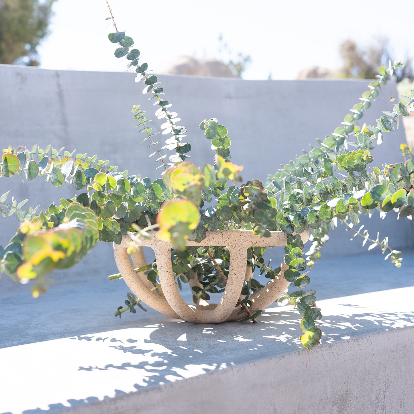 Speckled Prong Fruit Bowl