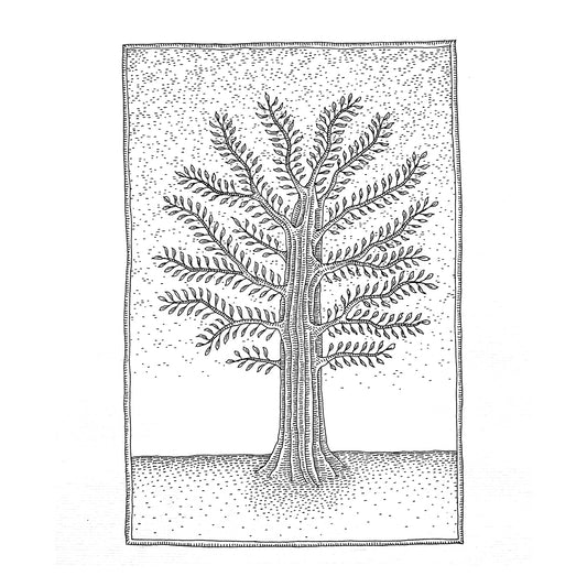 Cotton Wood Print