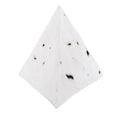 Relic Tetrahedron 1