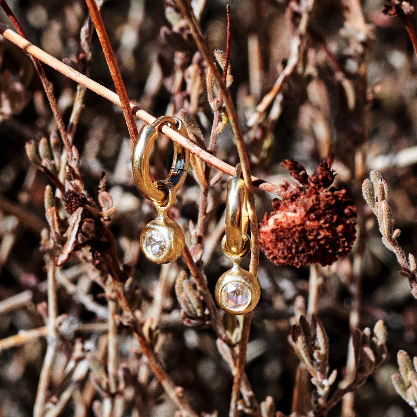 Rosecut Diamond & Gold Hoop Earrings