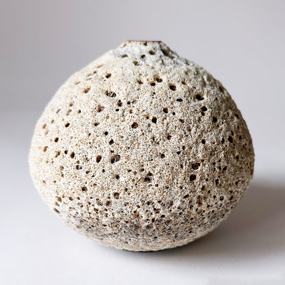 Lava Vessels - Terra Lava