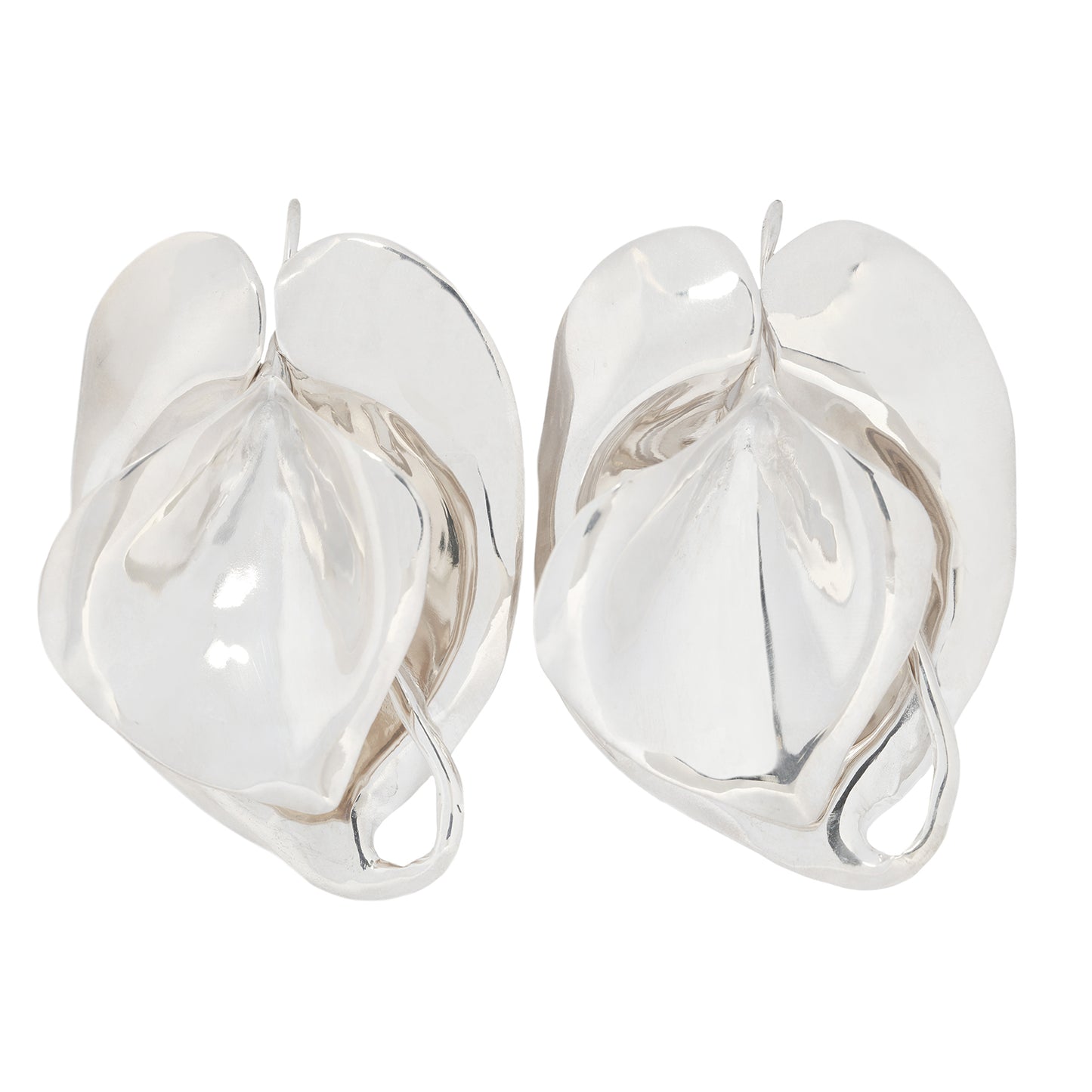 Pair of silver earrings on a white background