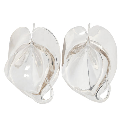 Pair of silver earrings on a white background