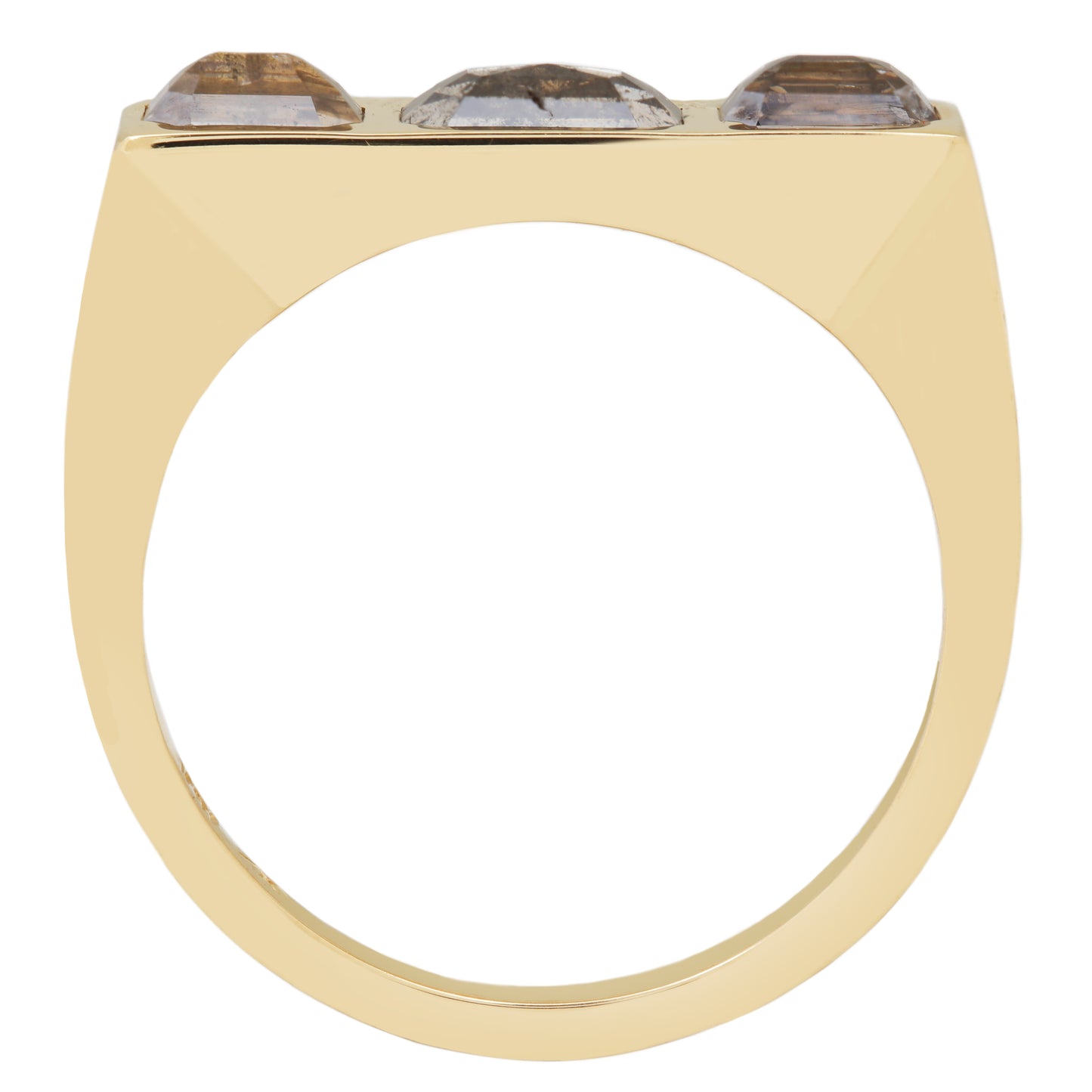 Flat Dunes Guardian Bar Ring