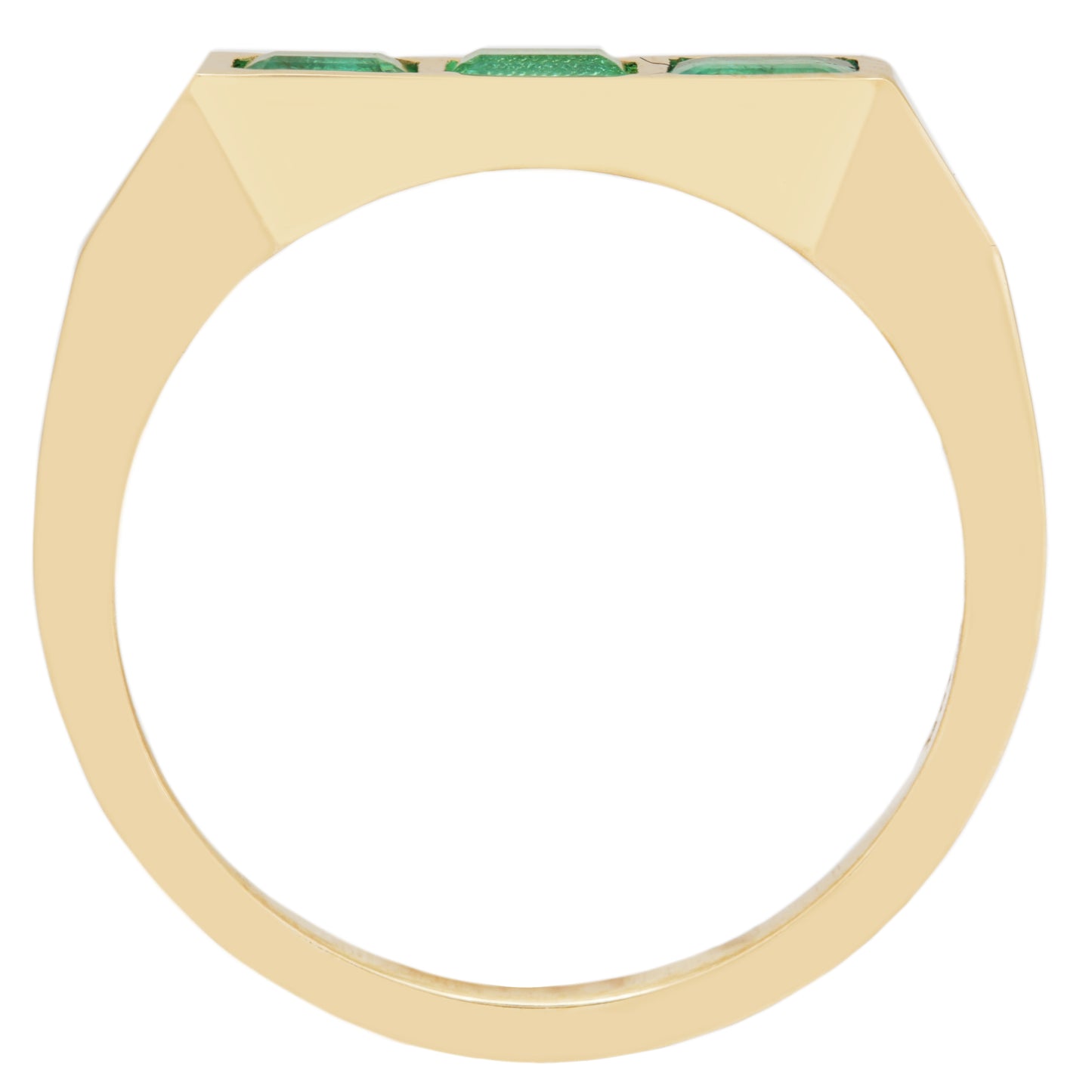 Emerald Guardian Bar Ring