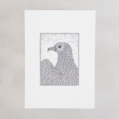 Red Tailed Hawk Print