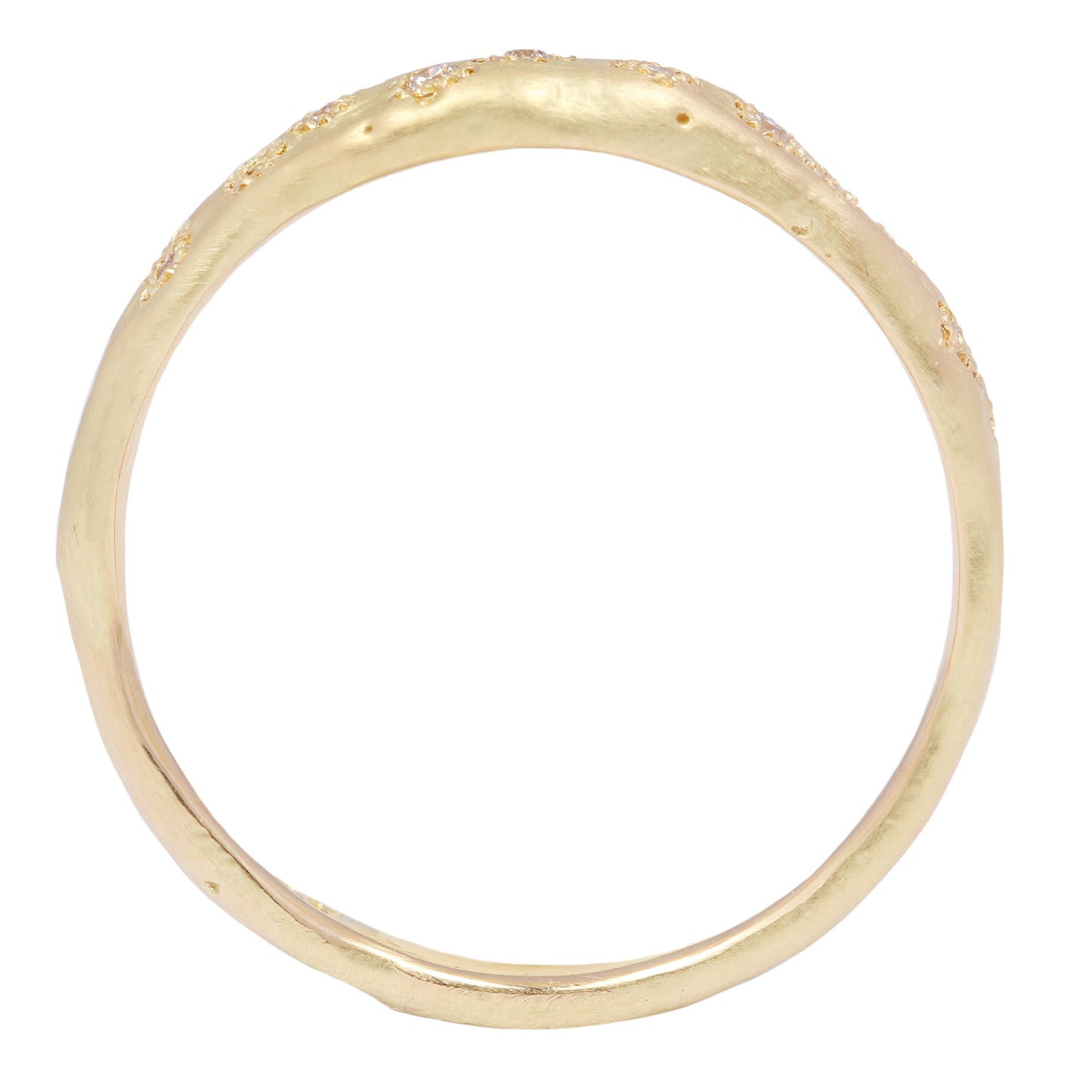 Encrusted Diamond Band