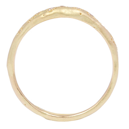 Encrusted Diamond Band