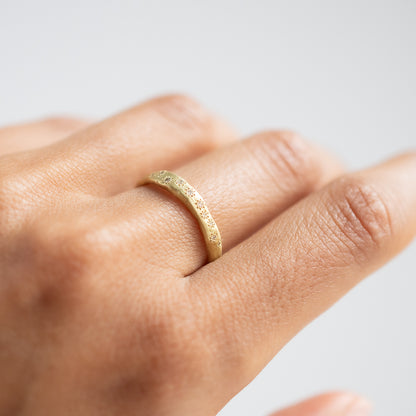 Encrusted Diamond Band