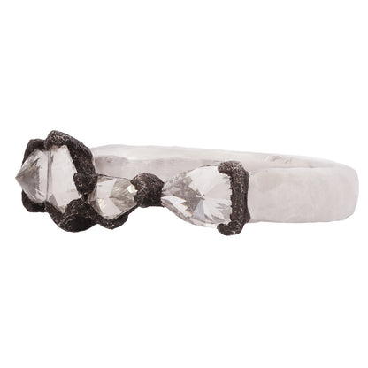 Inverted Diamond Horizon Band