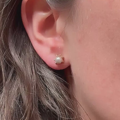 Gold Stingray Akoya Pearl Studs