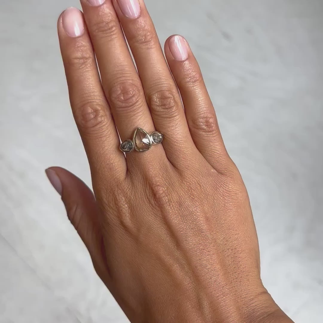 Lauren Wolf Jewelry Desert Fog Diamond Ring – ESQUELETO