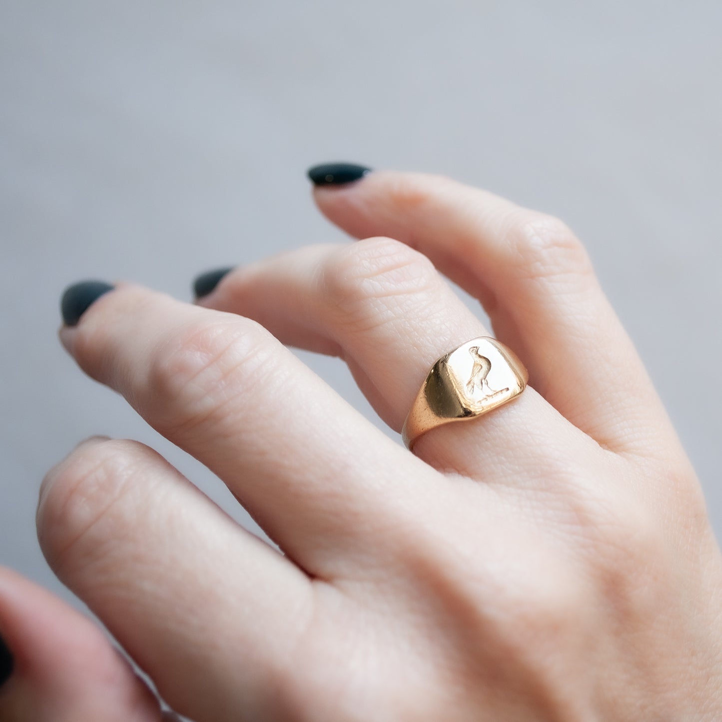 Homing Bird Signet Ring