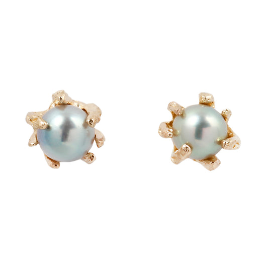 Gold Stingray Akoya Pearl Studs