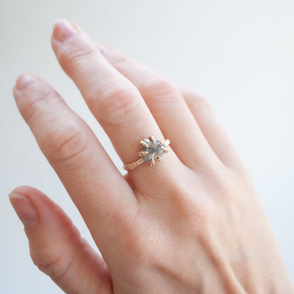 Misty Gray Stingray Claw Solitaire