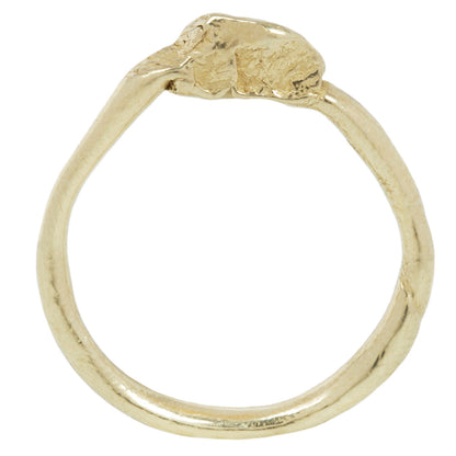 The Knot Ring