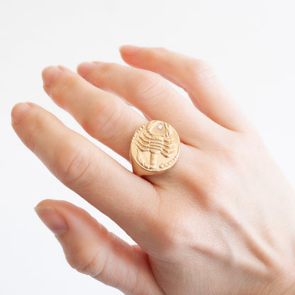 Zodiac Signet Ring